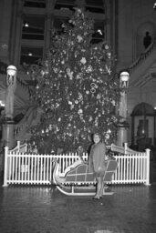 Photo OP in Main Rotunda, Christmas Tree, Members