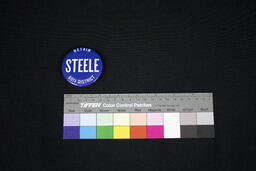 Campaign Pin, Retain Steele 60th District
