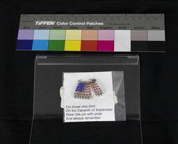 9/11 Memorial Pin